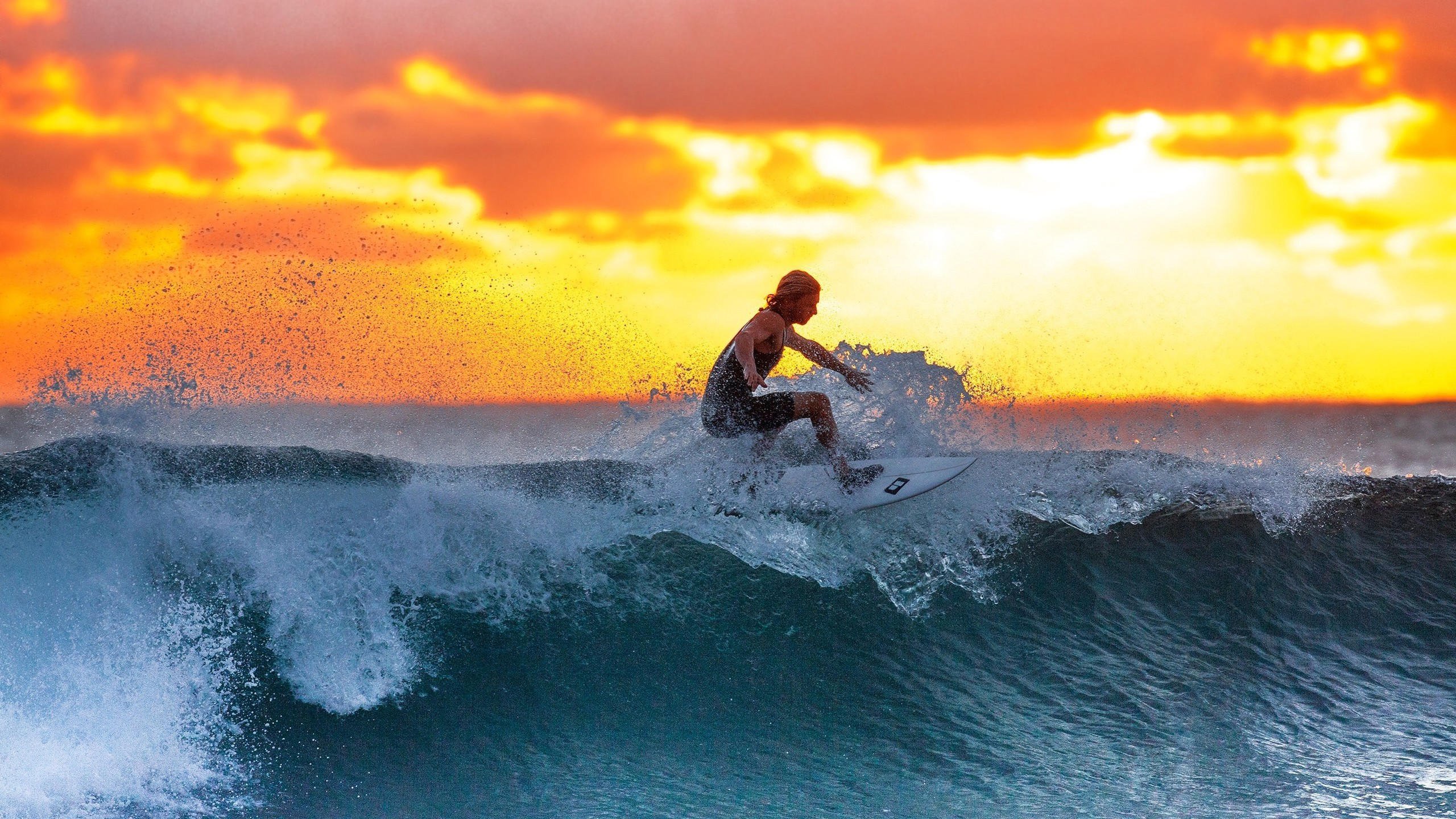 开云足球体育-极限自救，坠入深渊，本菲卡头球破门+点球绝杀，波尔图梦断光明球场，极限自救！本菲卡头球破门+点球绝杀，波尔图梦断光明球场